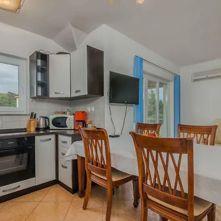 In - Insel Krk 50535 Apartment Čižići
